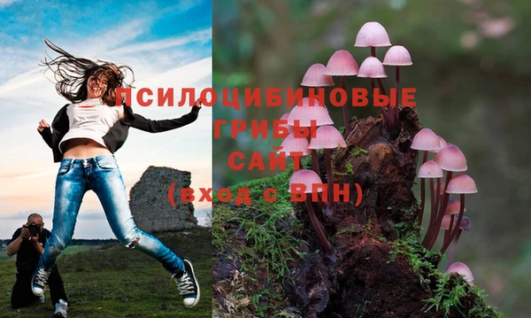 герыч Аркадак