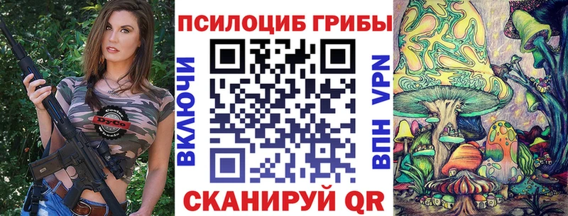 Галлюциногенные грибы MAGIC MUSHROOMS  купить наркоту  кракен сайт  Струнино 